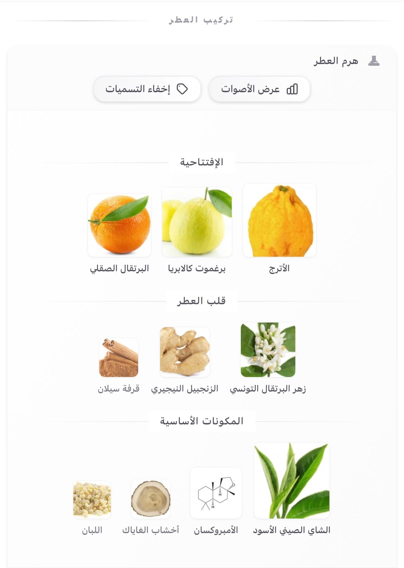 امجينيشن 2