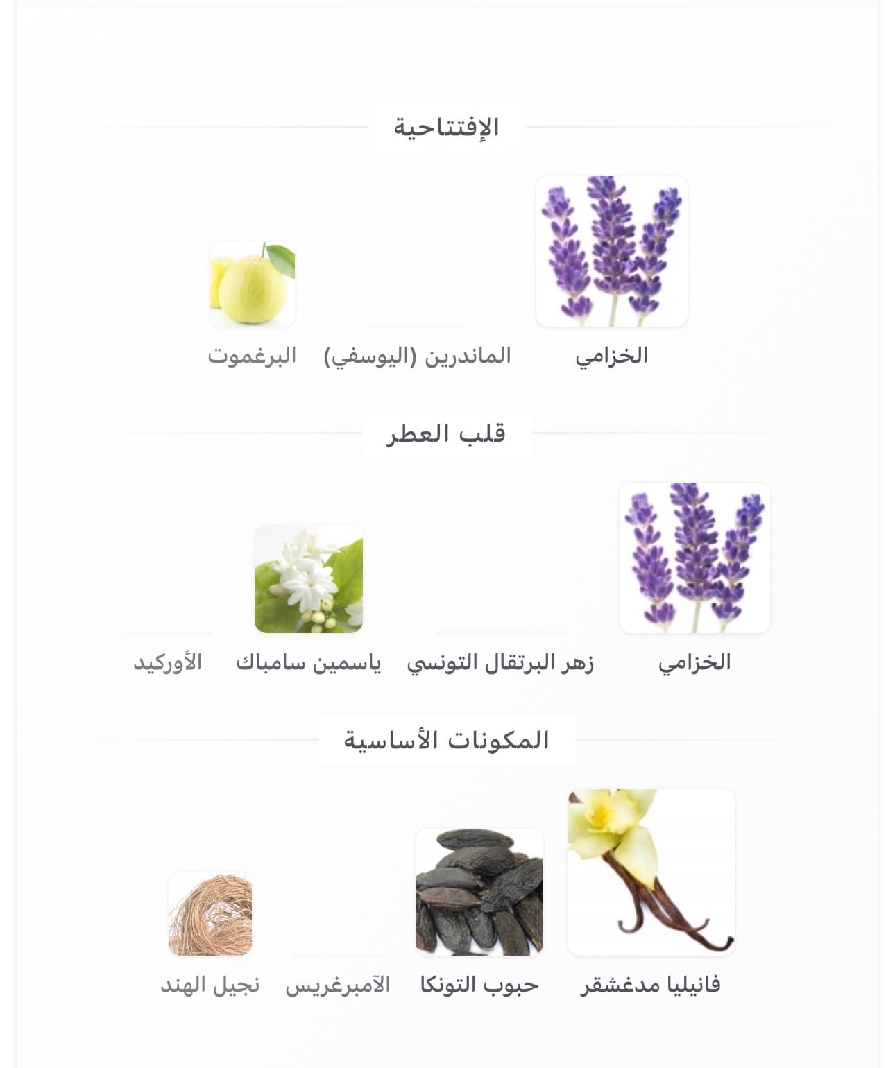 ليبر انتنس 2
