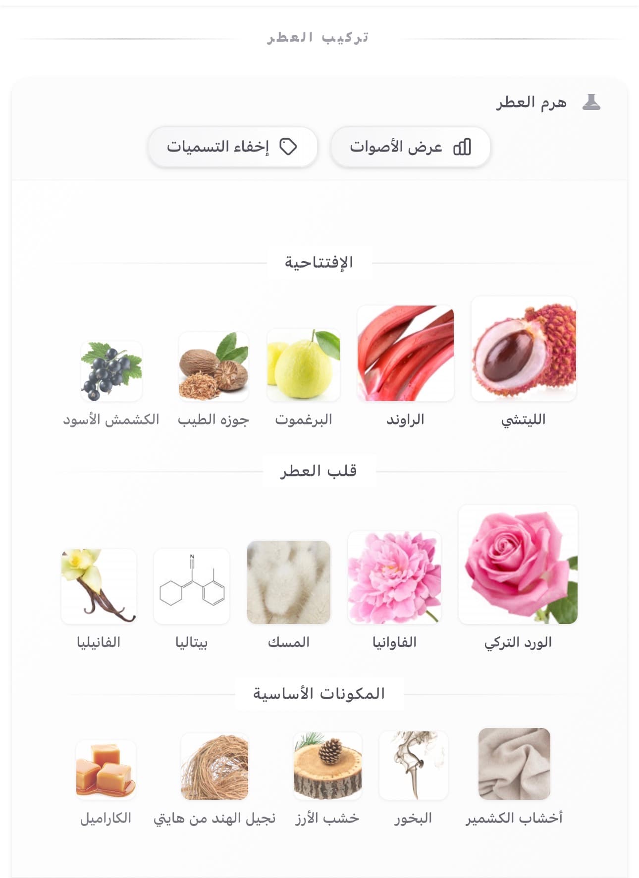 دلينا دي مارلي 3